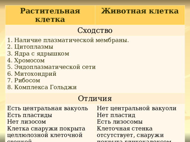 Растительная клетка Животная клетка Сходство Наличие плазматической мембраны. Цитоплазмы Ядра с ядрышком Хромосом Эндоплазматической сети Митохондрий Рибосом Комплекса Гольджи Отличия Есть центральная вакуоль Есть пластиды Нет лизосом Клетка снаружи покрыта целлюлозной клеточной стенкой Нет центральной вакуоли Нет пластид Есть лизосомы Клеточная стенка отсутствует, снаружи покрыта гликокалексом 