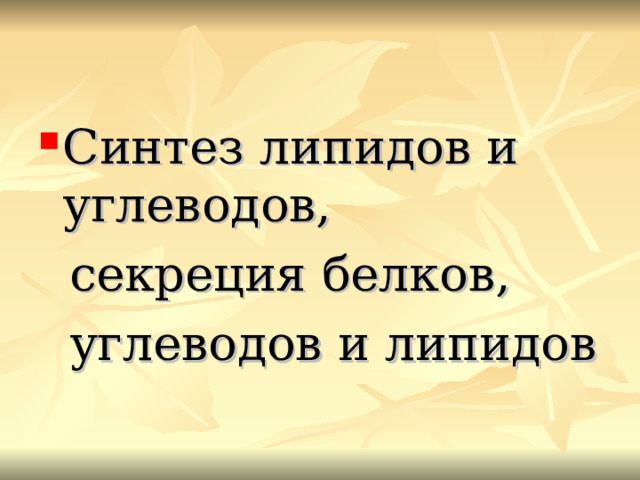 Синтез липидов и углеводов,  секреция белков,  углеводов и липидов 