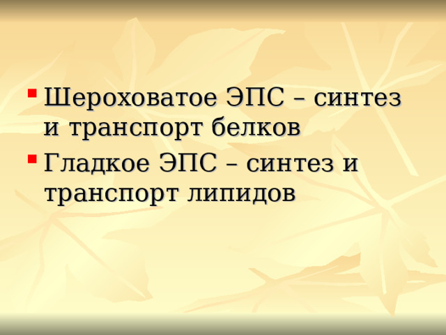 Шероховатое ЭПС – синтез и транспорт белков Гладкое ЭПС – синтез и транспорт липидов 