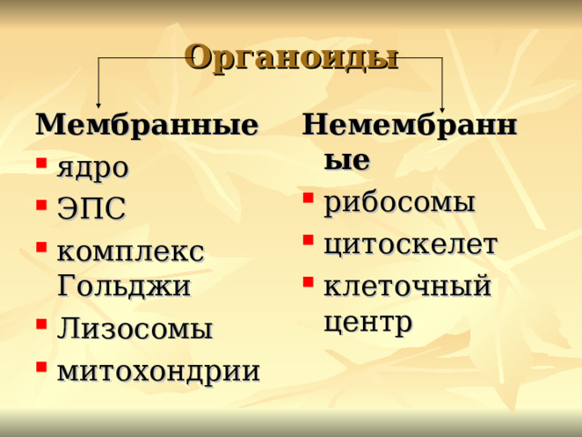 Органоиды Мембранные Немембранные ядро ЭПС комплекс Гольджи Лизосомы митохондрии рибосомы цитоскелет клеточный центр 