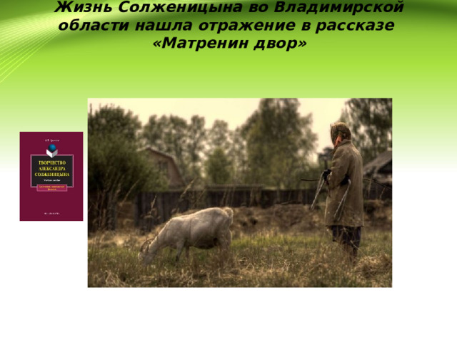 Жизнь Солженицына во Владимирской области нашла отражение в рассказе «Матренин двор» 