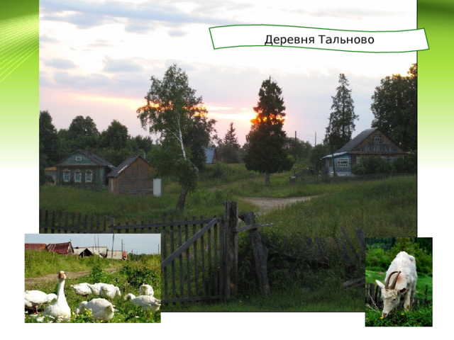 Деревня Тальново 