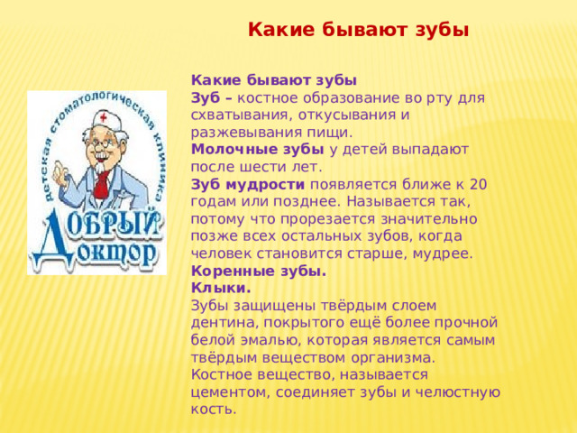 Какие бывают зубы Какие бывают зубы Зуб – костное образование во рту для схватывания, откусывания и разжевывания пищи. Молочные зубы у детей выпадают после шести лет. Зуб мудрости появляется ближе к 20 годам или позднее. Называется так, потому что прорезается значительно позже всех остальных зубов, когда человек становится старше, мудрее. Коренные зубы. Клыки. Зубы защищены твёрдым слоем дентина, покрытого ещё более прочной белой эмалью, которая является самым твёрдым веществом организма. Костное вещество, называется цементом, соединяет зубы и челюстную кость. 