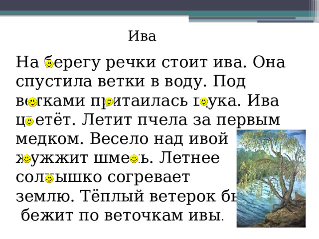 Ива На берегу речки стоит ива. Она спустила ветки в воду. Под ветками притаилась щука. Ива цветёт. Летит пчела за первым медком. Весело над ивой жужжит шмель. Летнее солнышко согревает землю. Тёплый ветерок быстро  бежит по веточкам ивы .