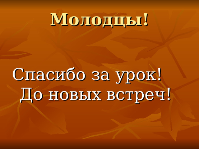 Молодцы! Спасибо за урок! До новых встреч!