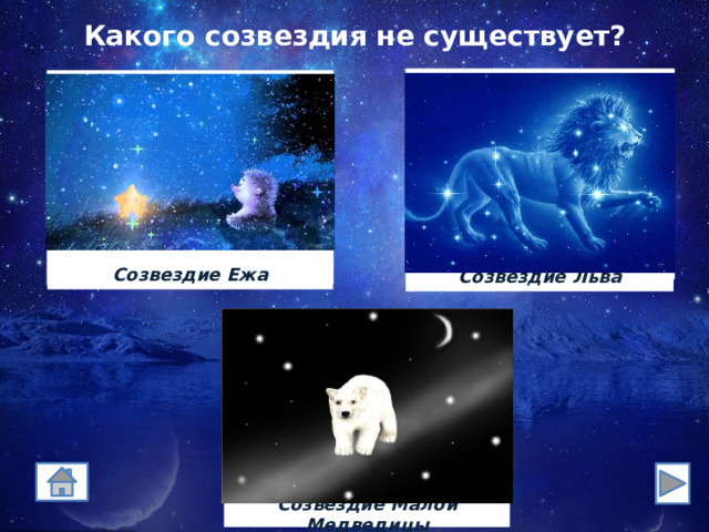 Какого созвездия не существует? Созвездие Ежа Созвездие Льва 333 Созвездие Малой Медведицы 