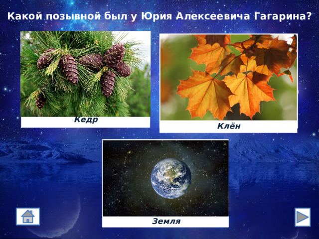 Какой позывной был у Юрия Алексеевича Гагарина? Кедр Клён 333 Земля 