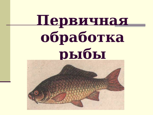 Первичная обработка рыбы 