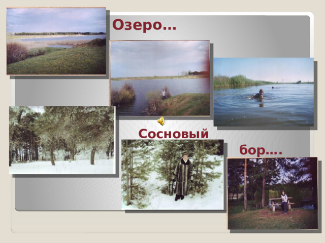 Озеро…  Сосновый  бор….