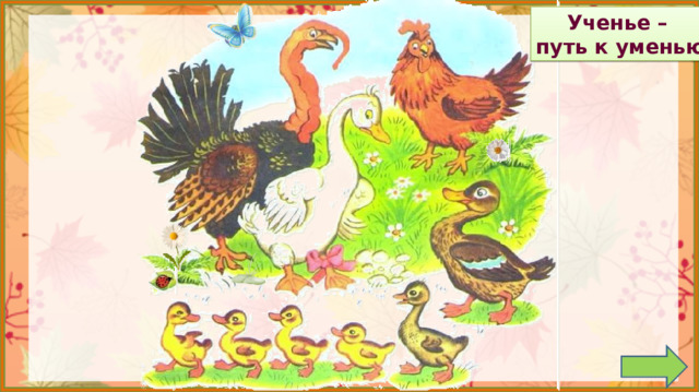 Ученье – путь к уменью 1. Обсуждение пословицы.  *Пословица исчезает, если навести на неё курсор и кликнуть. 2. Задание на внимательность: откройте книгу (с 36) и сравните иллюстрацию в учебнике с иллюстрацией на слайде. (Замена бабочки, появились две ромашки (возле курочки и возле индюка), камни, божья коровка) 3.  Работа по учебнику в соответствии с УМК. *Пословица исчезает, если навести на неё курсор и кликнуть.