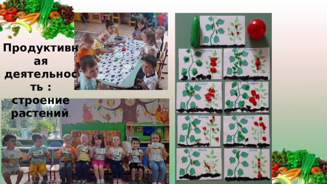 Продуктивная деятельность : строение растений .