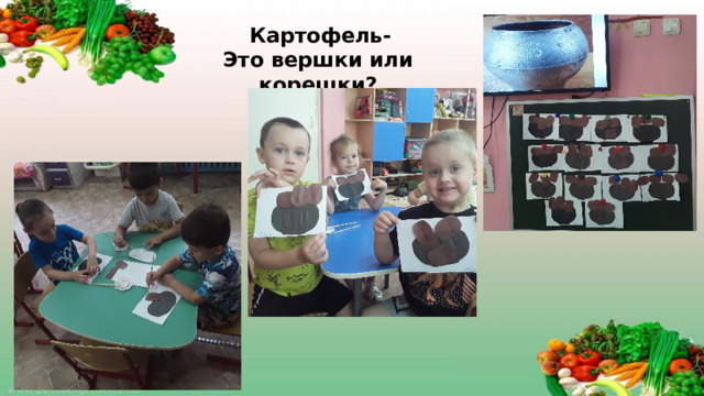 Картофель- Это вершки или корешки?