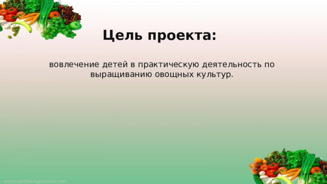 Цель проекта:  вовлечение детей в практическую деятельность по выращиванию овощных культур.