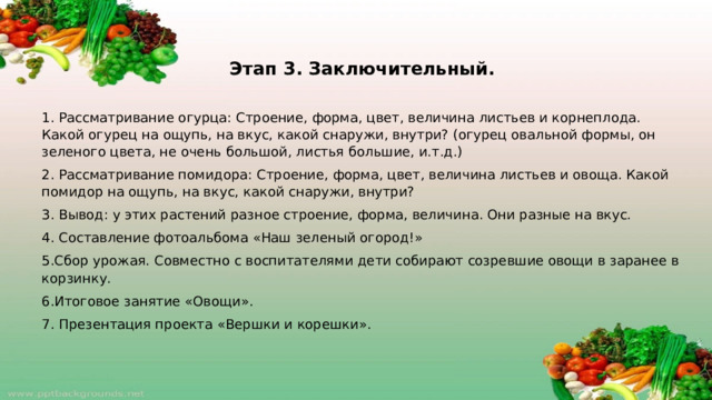Этап 3. Заключительный.   1. Рассматривание огурца: Строение, форма, цвет, величина листьев и корнеплода. Какой огурец на ощупь, на вкус, какой снаружи, внутри? (огурец овальной формы, он зеленого цвета, не очень большой, листья большие, и.т.д.) 2. Рассматривание помидора: Строение, форма, цвет, величина листьев и овоща. Какой помидор на ощупь, на вкус, какой снаружи, внутри? 3. Вывод: у этих растений разное строение, форма, величина. Они разные на вкус. 4. Составление фотоальбома «Наш зеленый огород!» 5.Сбор урожая. Совместно с воспитателями дети собирают созревшие овощи в заранее в корзинку. 6.Итоговое занятие «Овощи». 7. Презентация проекта «Вершки и корешки».  