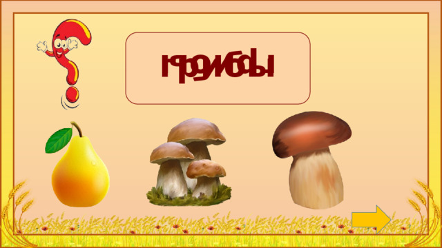 грибы грибы