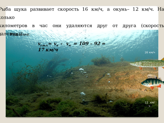 Рыба щука развивает скорость 16 км/ч, а окунь– 12 км/ч. На сколько километров в час они удаляются друг от друга (скорость удаления)? Решение: v удал . = v п  - v м = 109 – 92 = 17 км/ч  16 км/ч  12 км/ч 