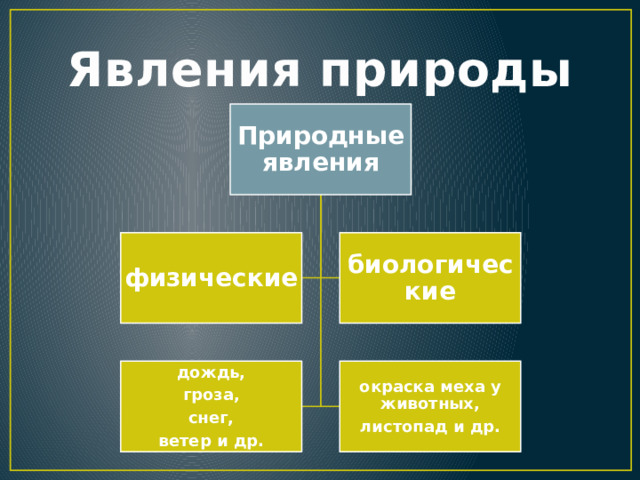 Явления природы Природные явления физические биологические дождь, окраска меха у животных, гроза, листопад и др. снег, ветер и др. 