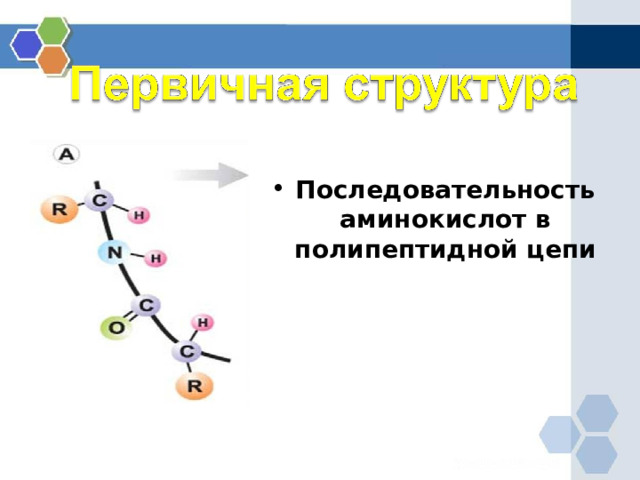 Первичная структура Последовательность аминокислот в полипептидной цепи 