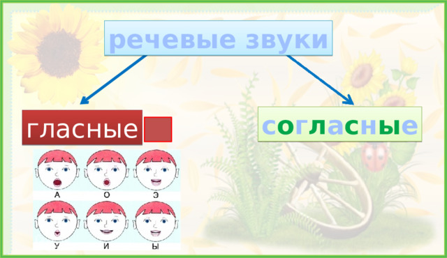 речевые звуки с о г л а с н ы е гласные - Вы слышали разные звуки и по ним узнавали, какой предмет звучал. А чем мы слушаем? Уши – это важный орган нашего тела. - Говорить умеет только человек. И все звуки, которые мы с вами произносим, даже изображая предметы или животных, называются «речевые звуки». - Подумайте, с помощью чего мы произносим звуки? ( Чтобы произносить звуки, нам нужен рот). - Рот – это домик звуков (демонстрация картинки). В домике этом – Красные двери, Рядом с дверями – Белые звери. Красные двери это что? А что такое белые звери? ( Это губы и зубы) -И ещё один орган нужен для правильного произношения звуков. Отгадайте, о чём идёт речь. Всегда во рту, да не проглотишь. (Язык) - Итак, правильно произносить звуки речи нам помогают губы, зубы и язык.