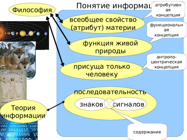  Понятие информации атрибутивная  концепция Философия всеобщее свойство  (атрибут) материи функциональная  концепция функция живой  природы антропо-  центрическая  концепция присуща только  человеку последовательность знаков сигналов Теория  информации содержание 