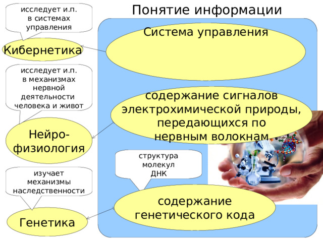  Понятие информации исследует и.п.  в системах управления Система управления Кибернетика содержание  передаваемых сигналов исследует и.п.  в механизмах нервной деятельности  человека и живот содержание сигналов  электрохимической природы,  передающихся по  нервным волокнам Нейро-  физиология структура молекул  ДНК изучает  механизмы  наследственности содержание  генетического кода Генетика 