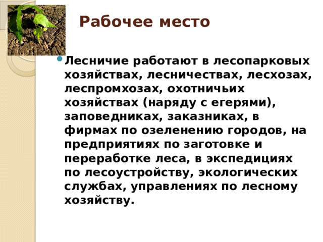 Рабочее место   Лесничие работают в лесопарковых хозяйствах, лесничествах, лесхозах, леспромхозах, охотничьих хозяйствах (наряду с егерями), заповедниках, заказниках, в фирмах по озеленению городов, на предприятиях по заготовке и переработке леса, в экспедициях по лесоустройству, экологических службах, управлениях по лесному хозяйству. 