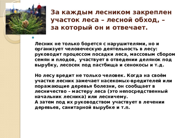 За каждым лесником закреплен участок леса – лесной обход, – за который он и отвечает.  Лесник не только борется с нарушителями, но и  организует человеческую деятельность в лесу: руководит процессом посадки леса, массовым сбором семян и плодов,  участвует в отведении делянок под вырубку, лесосек под пастбища и сенокосы и т.д.   Но лесу вредит не только человек. Когда на своём участке лесник замечает насекомых-вредителей или поражающие деревья болезни, он сообщает в лесничество – мастеру леса (это непосредственный начальник лесника) или лесничему.  А затем под их руководством участвует в лечении деревьев, санитарной вырубке и т.п.    