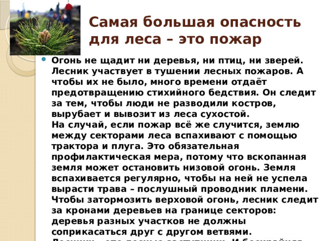 Самая большая опасность для леса – это пожар Огонь не щадит ни деревья, ни птиц, ни зверей. Лесник участвует в тушении лесных пожаров. А чтобы их не было, много времени отдаёт предотвращению стихийного бедствия. Он следит за тем, чтобы люди не разводили костров, вырубает и вывозит из леса сухостой.  На случай, если пожар всё же случится, землю между секторами леса вспахивают с помощью трактора и плуга. Это обязательная профилактическая мера, потому что вскопанная земля может остановить низовой огонь. Земля вспахивается регулярно, чтобы на ней не успела вырасти трава – послушный проводник пламени.  Чтобы затормозить верховой огонь, лесник следит за кронами деревьев на границе секторов: деревья разных участков не должны соприкасаться друг с другом ветвями.  Лесники – это лесные заступники. И бескрайняя тайга, и малые перелески, и городские лесопарки, и глухие леса, где до ближайшего города сотни километров – все они нуждаются в помощи этих людей. 