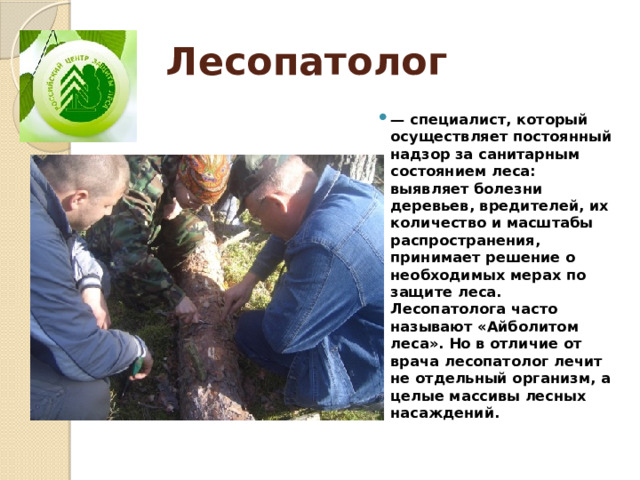 Лесопатолог — специалист, который осуществляет постоянный надзор за санитарным состоянием леса: выявляет болезни деревьев, вредителей, их количество и масштабы распространения, принимает решение о необходимых мерах по защите леса. Лесопатолога часто называют «Айболитом леса». Но в отличие от врача лесопатолог лечит не отдельный организм, а целые массивы лесных насаждений. 