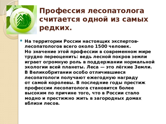 Лесные профессии