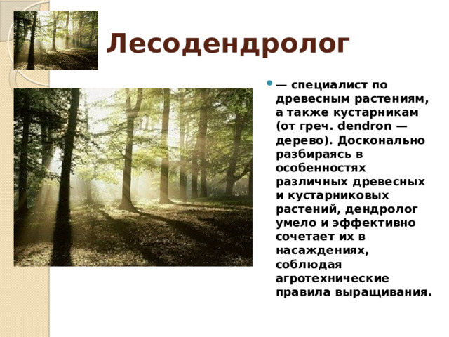 Лесодендролог — специалист по древесным растениям, а также кустарникам (от греч. dendron — дерево). Досконально разбираясь в особенностях различных древесных и кустарниковых растений, дендролог умело и эффективно сочетает их в насаждениях, соблюдая агротехнические правила выращивания. 
