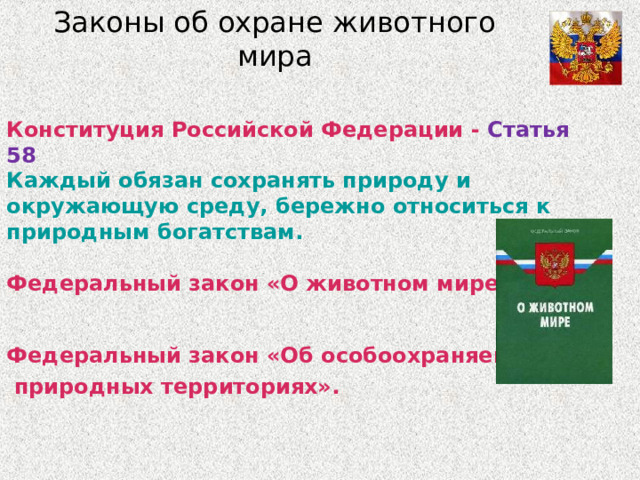 Законы об охране животного мира Конституция Российской Федерации - Статья 58 Каждый обязан сохранять природу и окружающую среду, бережно относиться к природным богатствам.  Федеральный закон «О животном мире» Федеральный закон «Об особоохраняемых  природных территориях».  