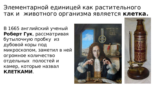 Элементарной единицей как растительного так и животного организма является клетка. В 1665 английский ученый Роберт Гук , рассматривая бутылочную пробку из дубовой коры под микроскопом, заметил в ней огромное количество отдельных полостей и камер, которые назвал КЛЕТКАМИ . 