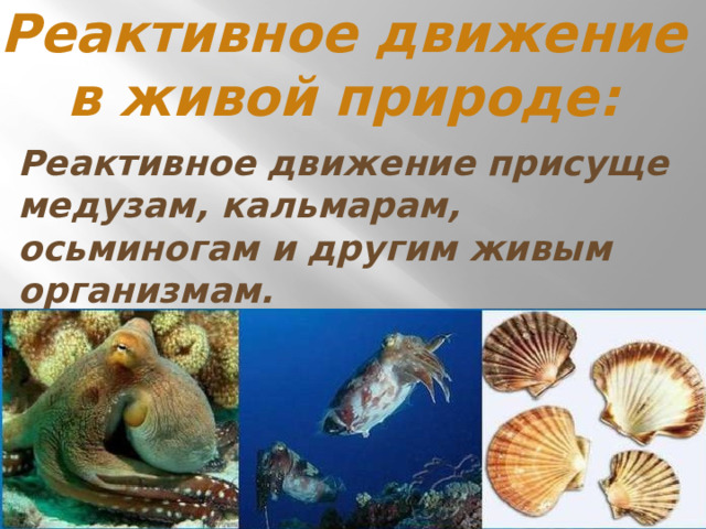 Реактивное движение в живой природе: Реактивное движение присуще медузам, кальмарам, осьминогам и другим живым организмам. 
