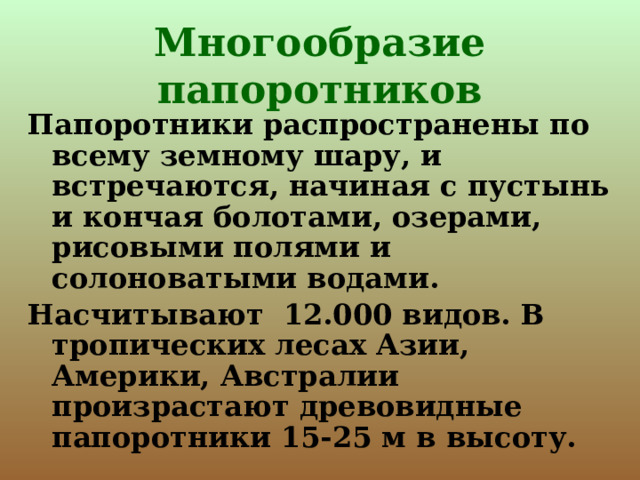 Многообразие папоротников Папоротники распространены по всему земному шару, и встречаются, начиная с пустынь и кончая болотами, озерами, рисовыми полями и солоноватыми водами. Насчитывают 12.000 видов. В тропических лесах Азии, Америки, Австралии произрастают древовидные папоротники 15-25 м в высоту. 