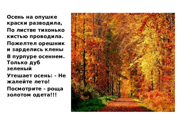 Осень на опушке краски разводила, По листве тихонько кистью проводила. Пожелтел орешник и зарделись клены В пурпуре осеннем. Только дуб зеленый Утешает осень: - Не жалейте лето! Посмотрите - роща золотом одета!!!   