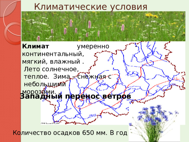 Климатические условия Климат  умеренно -континентальный,  мягкий, влажный .  Лето солнечное,  теплое. Зима – снежная с   небольшими морозами. Западный перенос ветров Количество осадков 650 мм. В год  