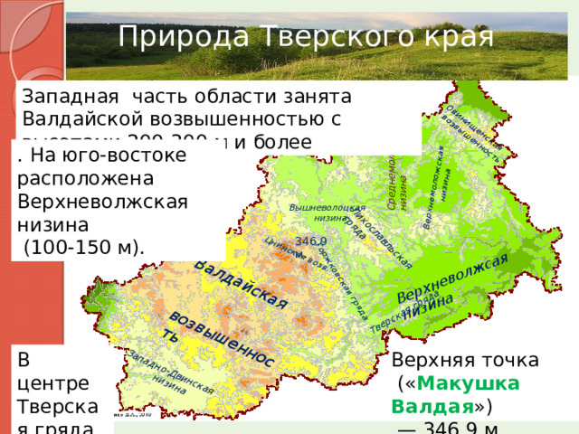 Среднемоложская  низина Валдайская  Верхневолжсая низина  возвышенность Западно-Двинская  низина Лихославльская Овинищенская гряда Верхнемоложская  возвышенность  низина Торжковская гряда Тверская гряда Цнинская возв. Природа Тверского края   Западная часть области занята Валдайской возвышенностью с высотами 200-300 м и более . На юго-востоке расположена Верхневолжская низина  (100-150 м). Вышневолоцкая  низина 346,9м . Верхняя точка В центре  (« Макушка Валдая ») Тверская гряда.  — 346,9 м  