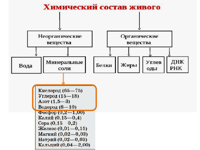 Элементарный состав живого