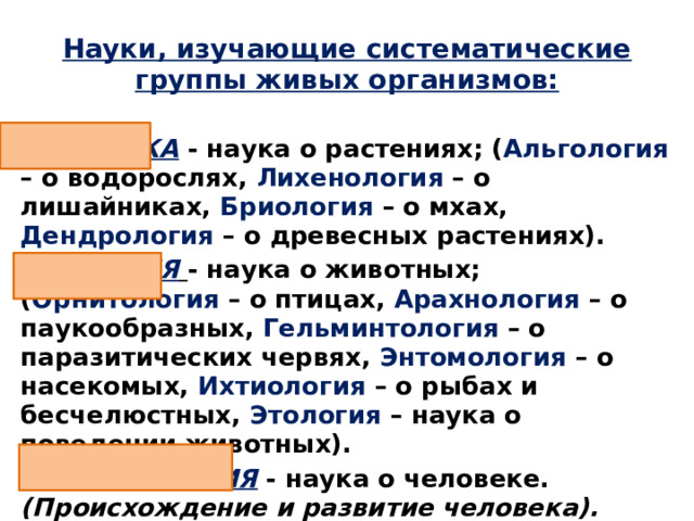 Науки, изучающие систематические группы живых организмов: БОТАНИКА - наука о растениях; ( Альгология – о водорослях, Лихенология – о лишайниках, Бриология – о мхах, Дендрология – о древесных растениях). ЗООЛОГИЯ  - наука о животных; ( Орнитология – о птицах, Арахнология – о паукообразных, Гельминтология – о паразитических червях, Энтомология – о насекомых, Ихтиология – о рыбах и бесчелюстных, Этология – наука о поведении животных). АНТРОПОЛОГИЯ - наука о человеке. (Происхождение и развитие человека). 