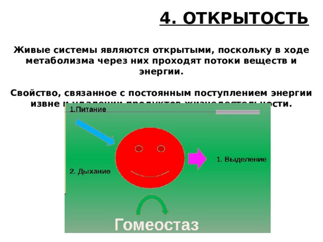 4. ОТКРЫТОСТЬ Живые системы являются открытыми, поскольку в ходе метаболизма через них проходят потоки веществ и энергии.  Свойство, связанное с постоянным поступлением энергии извне и удалении продуктов жизнедеятельности. 