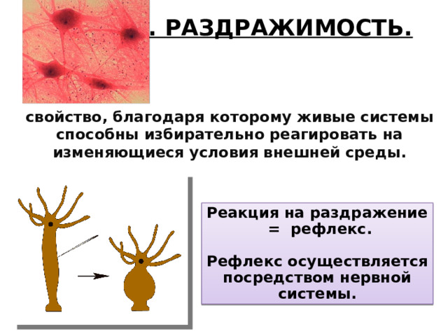 9. РАЗДРАЖИМОСТЬ. свойство, благодаря которому живые системы способны избирательно реагировать на изменяющиеся условия внешней среды. Реакция на раздражение = рефлекс.  Рефлекс осуществляется посредством нервной системы. 