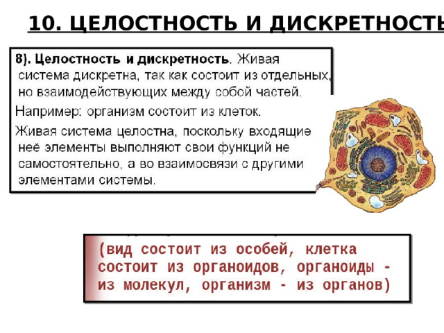 10. ЦЕЛОСТНОСТЬ И ДИСКРЕТНОСТЬ 