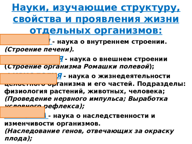 Науки, изучающие структуру, свойства и проявления жизни отдельных организмов: АНАТОМИЯ  - наука о внутреннем строении.  (Строение печени). МОРФОЛОГИЯ - наука о внешнем строении  ( Строение организма Ромашки полевой ); ФИЗИОЛОГИЯ - наука о жизнедеятельности целостного организма и его частей. Подразделы: физиология растений, животных, человека; (Проведение нервного импульса; Выработка условного рефлекса); ГЕНЕТИКА  - наука о наследственности и изменчивости организмов.  (Наследование генов, отвечающих за окраску плода); 