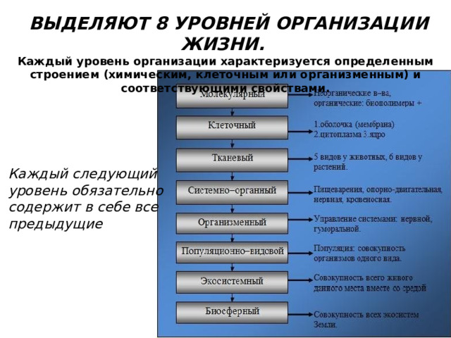   ВЫДЕЛЯЮТ 8 УРОВНЕЙ ОРГАНИЗАЦИИ ЖИЗНИ.   Каждый уровень организации характеризуется определенным строением (химическим, клеточным или организменным) и соответствующими свойствами. Каждый следующий уровень обязательно содержит в себе все предыдущие 