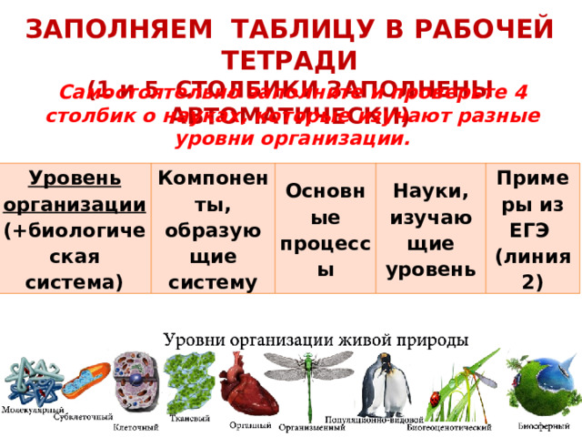 ЗАПОЛНЯЕМ ТАБЛИЦУ В РАБОЧЕЙ ТЕТРАДИ  (1 и 5 СТОЛБИКИ ЗАПОЛНЕНЫ АВТОМАТИЧЕСКИ) Самостоятельно заполните и проверьте 4 столбик о науках, которые изучают разные уровни организации. Уровень организации (+биологическая система) Компоненты, образующие систему Основные процессы Науки, изучающие уровень Примеры из ЕГЭ  (линия 2) 