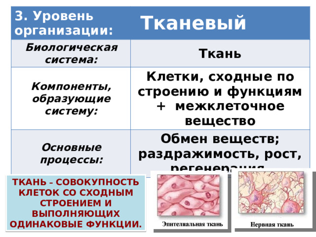 3. Уровень организации:   Тканевый Биологическая система: Ткань Компоненты, образующие систему: Клетки, сходные по строению и функциям + межклеточное вещество Основные процессы: Обмен веществ; раздражимость, рост, регенерация. Ткань – совокупность клеток со сходным строением и выполняющих одинаковые функции. 