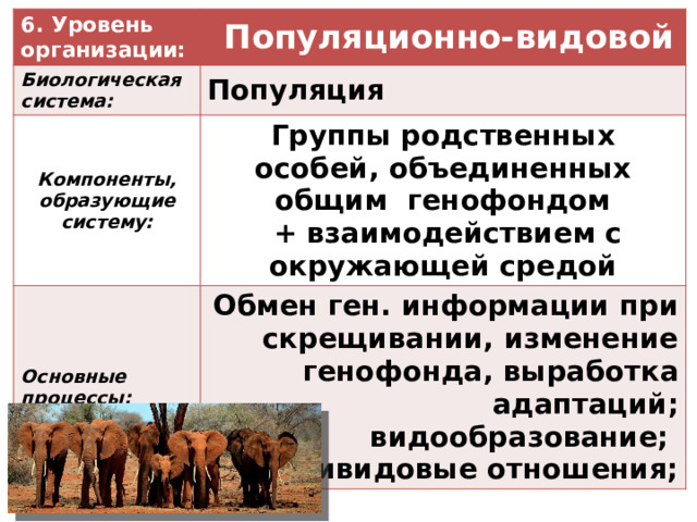 Популяционно видовой уровень система. При обмене ген информации.