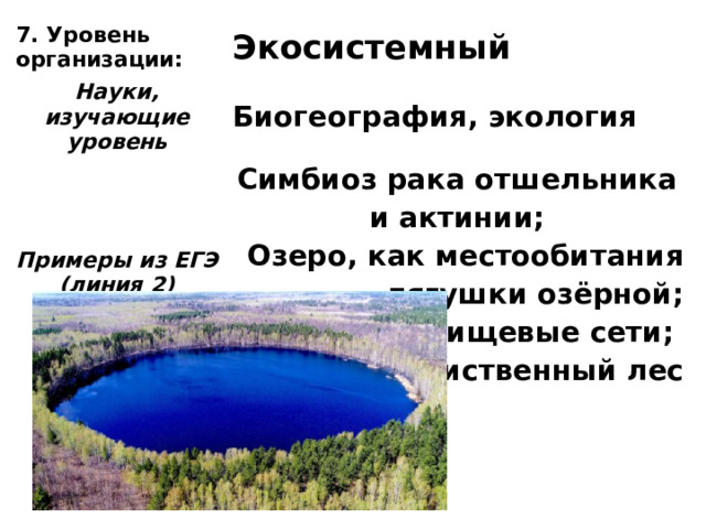 7. Уровень организации: Экосистемный Науки, изучающие уровень Биогеография, экология Примеры из ЕГЭ (линия 2) Симбиоз рака отшельника и актинии;  Озеро, как местообитания лягушки озёрной;  Пищевые сети;  Лиственный лес 