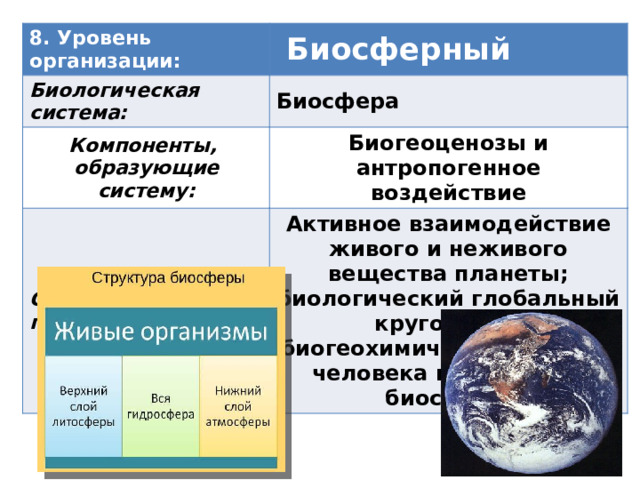 Биосферный уровень система